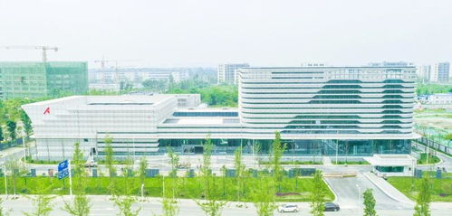 向 新 而行 循 興 出發 奮力寫好助推 五區共興 建工答卷