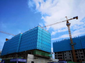 期待已久的青春里將于7月10 19日限量發(fā)售vip認籌卡,7月21日盛大開盤
