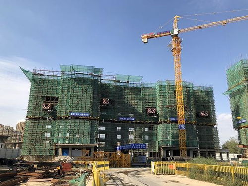 瑞海 國府大院9月11日最新工程進度播報